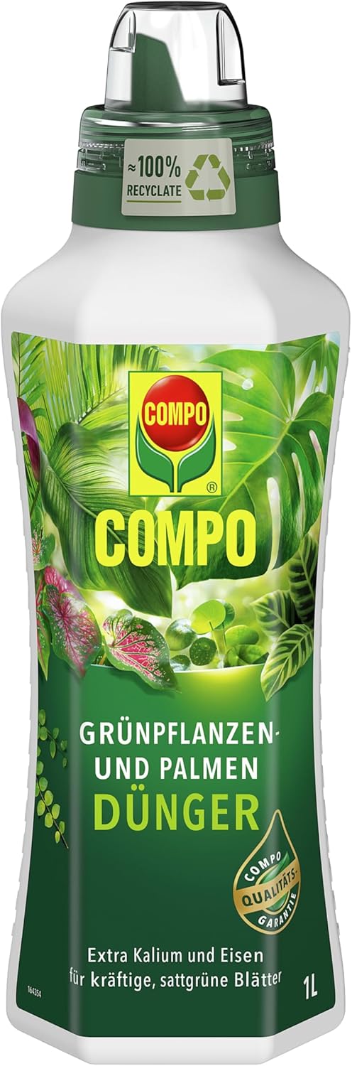 Compo Sana Dünger für Dracaena fragrans